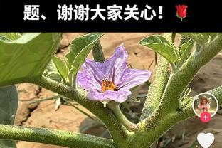 活力十足！威少7中4&三分2中1贡献9分4板2助1帽 正负值+7